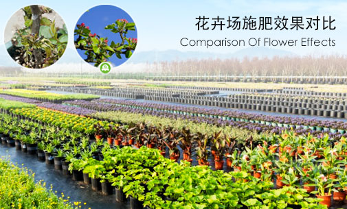 花卉场解决方案