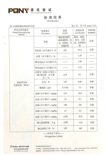 检测报告